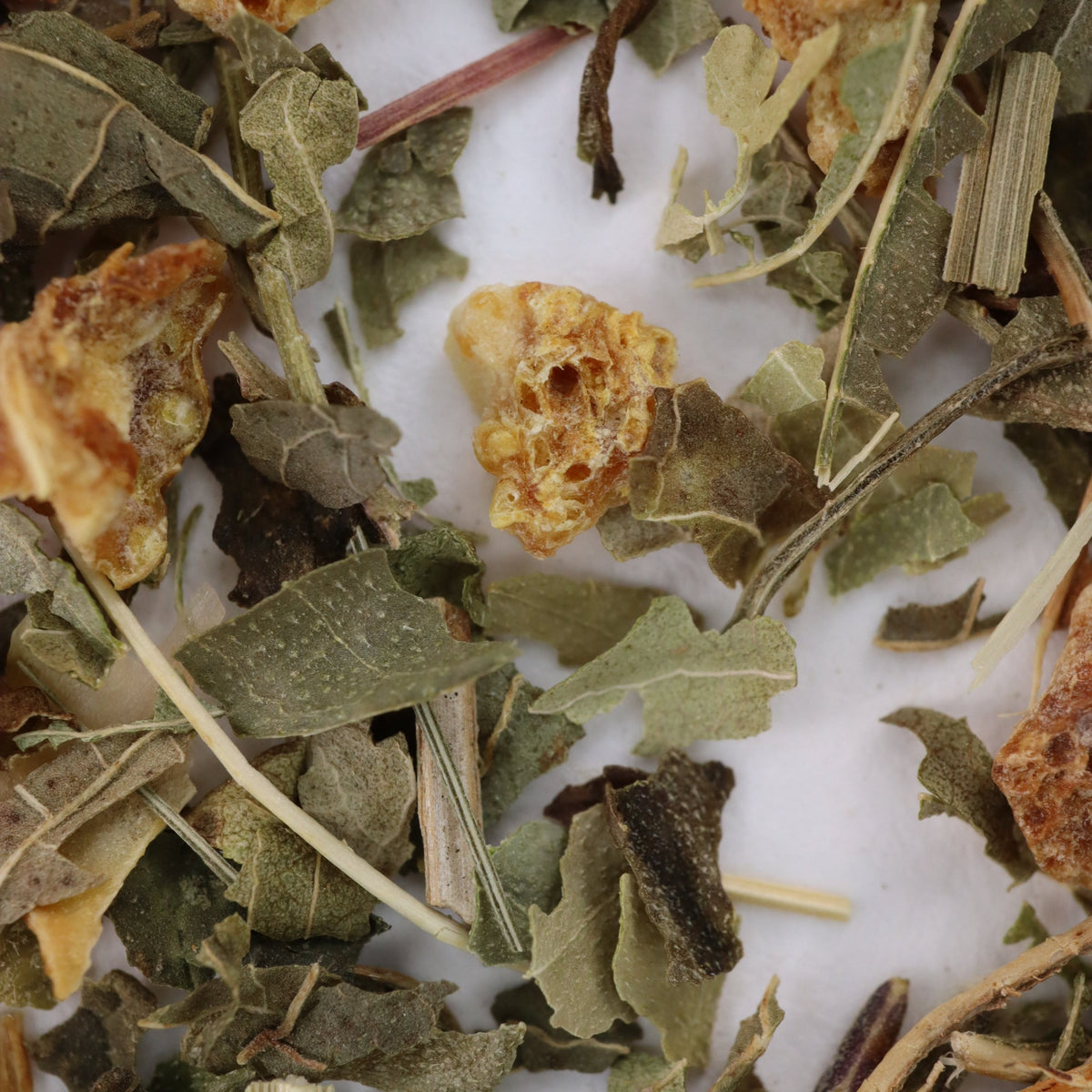 Lemon Blend – Goldfish Tea