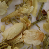 Whole Jasmine Flower
