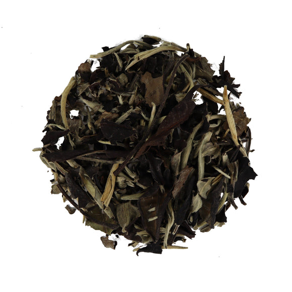Goldfish Tea White Teas – Goldfish Tea