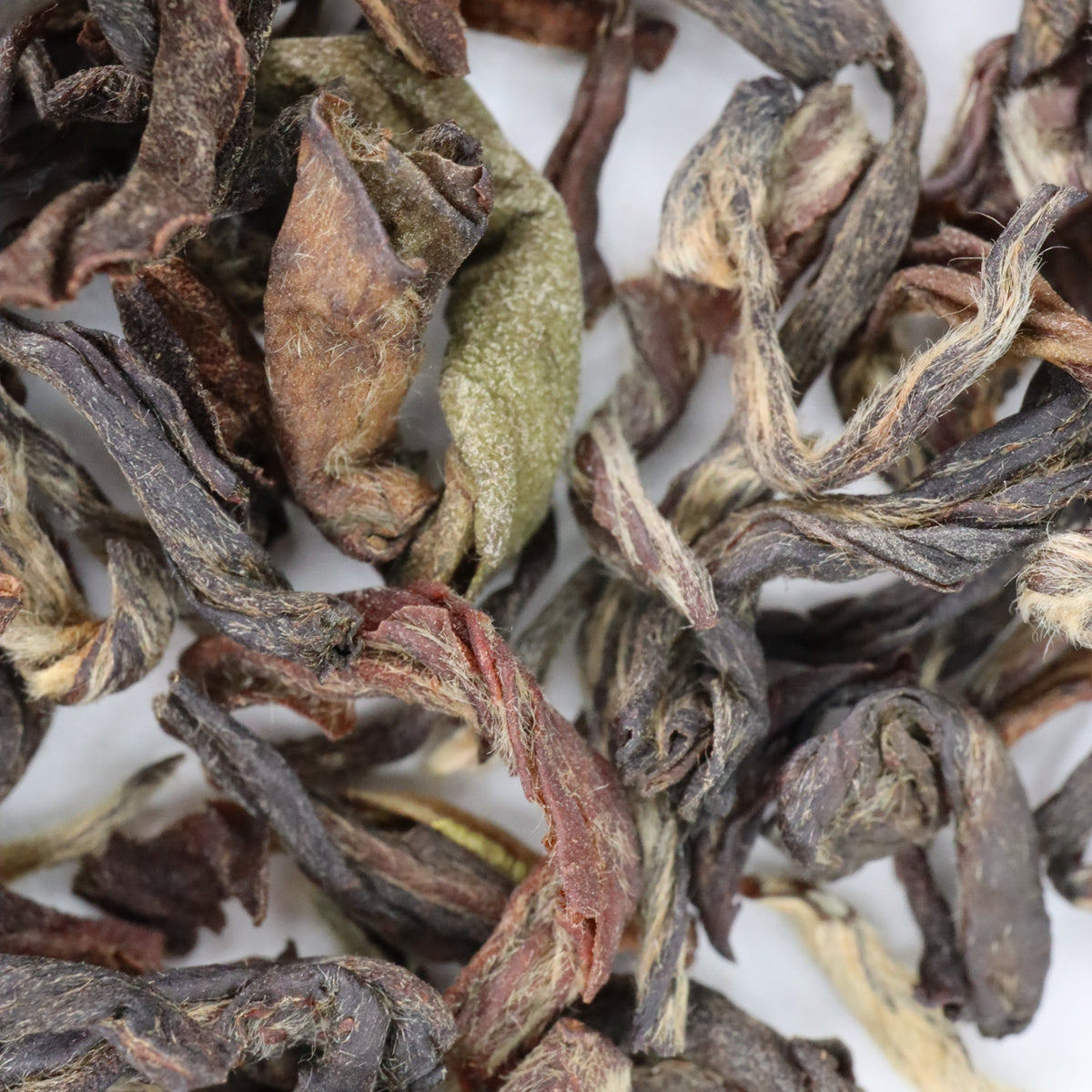 Goldfish Tea Nepal Rarity, Organic – Goldfish Tea